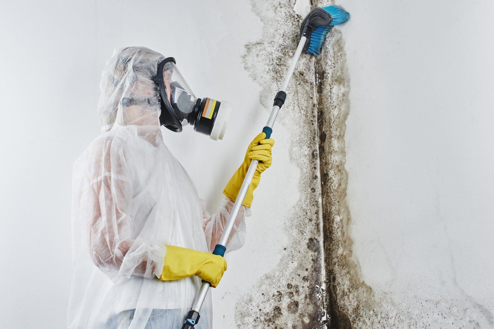 removing odor from mold contamination