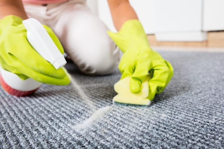 Removing pet odors from carpets begins with cleaning