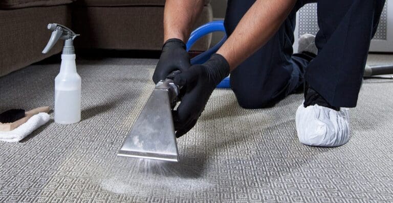 professional spot cleaning of carpet