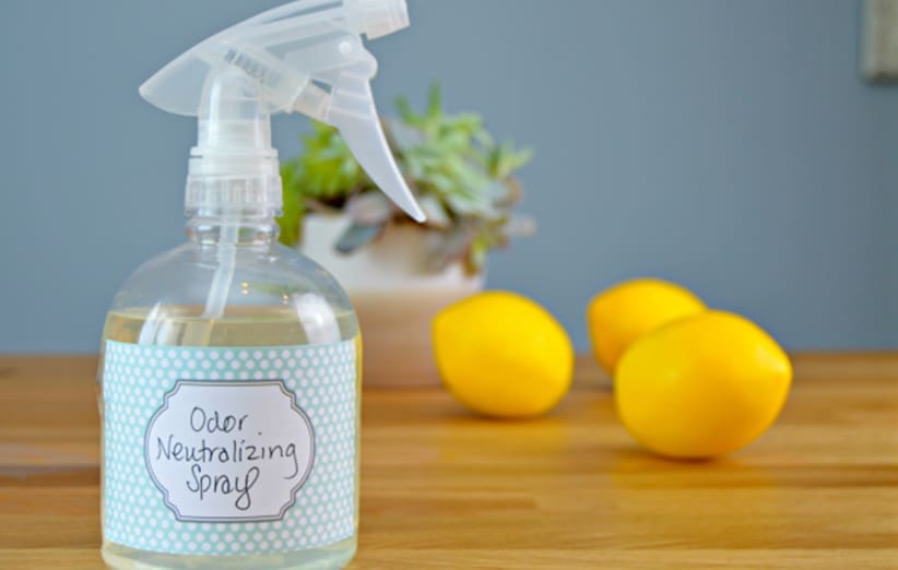 a spray bottle, three lemons and a small plan as a group of odor eliminating things are on a table surface.