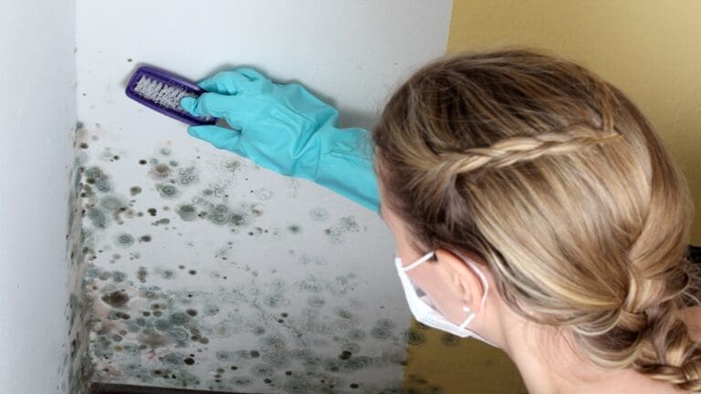 a woman removing mold from a wall with brush