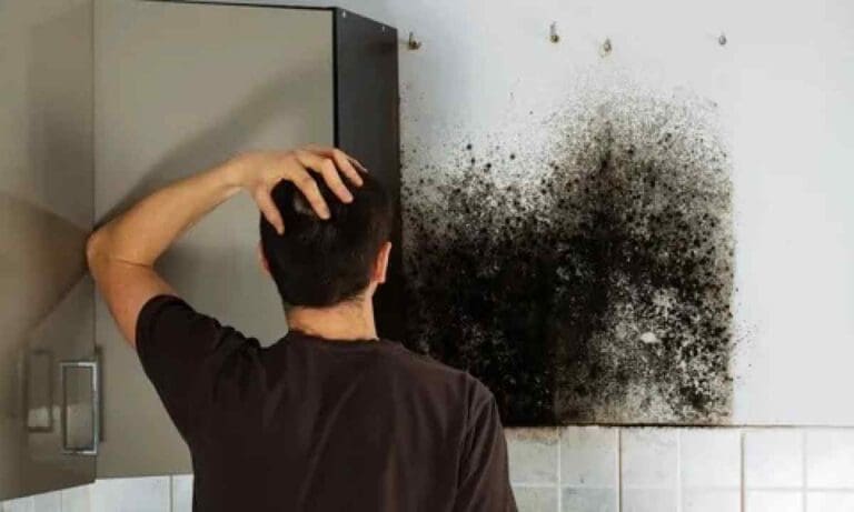 a worried man, a hand on his head after seeing mold besides kitchen cabinets.