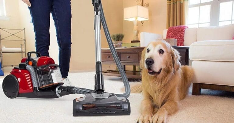 a dog sitting on carpet and a woman vacuuming the carpet to remove pet odor.