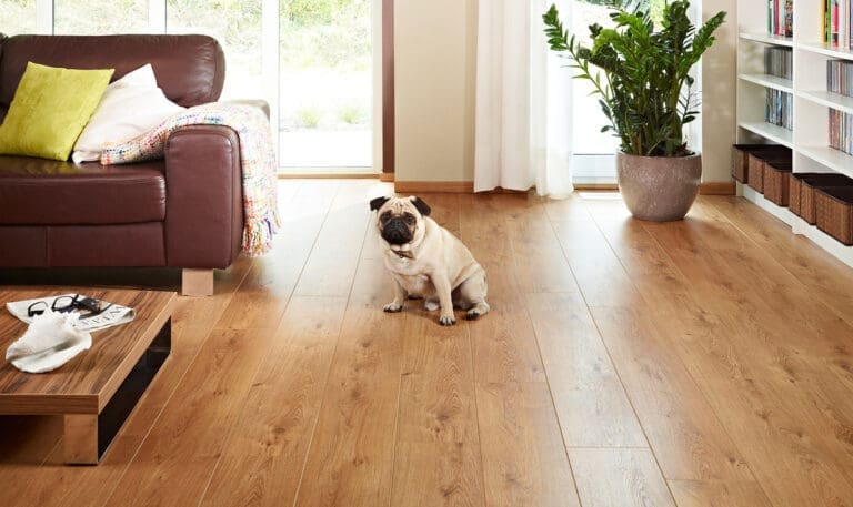 a little dog sitting on hardwood floor.