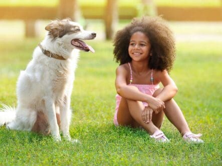 Removing pet odors from outdoor spaces