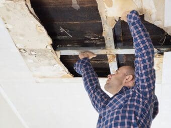A technician inspects a ceiling cavity for mold