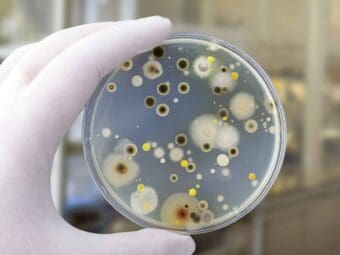 Mold Testing Services for Maryland